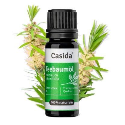 صورة Tea tree oil - B2B